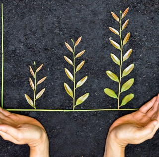 Croissance durable pour les Green Bonds