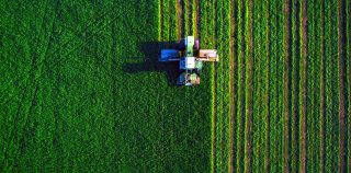 Relations commerciales : Point d’étape sur le projet de loi agroalimentaire