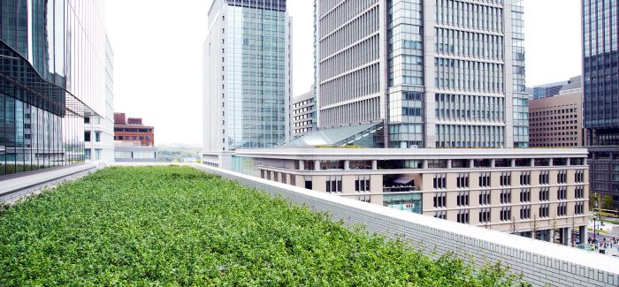Bail emphytéotique : outil idéal de l’agriculture urbaine sur les toits ?