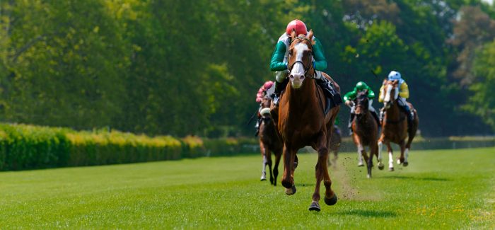 Équipement course de chevaux
