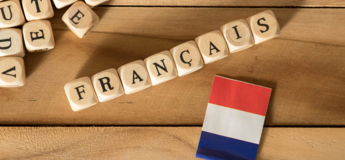 Flag of France and the word French Utilisation de la langue française dans les relations de travail : illustration jurisprudentielle à travers le plan de commissionnement